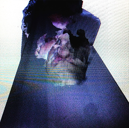 Interrupted 3D scan by artist Paul Coombs